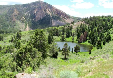 Contradictory Forest - river, trees, nature, lake, mountains, valley