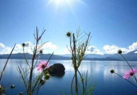 Looking to the Future with Hope and Beauty - skyview, flowers, lake, mountain range