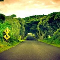 ROAD with SHELTER