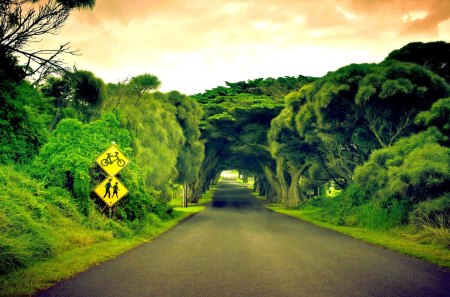 ROAD with SHELTER - sky, board, trees, sign, wallpaper, road, nature, alley, 1080, 1920, signs