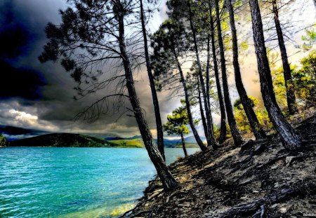 GLOOMY DAY at LAKE - sky, lake, gloomy, clouds, trees, nature