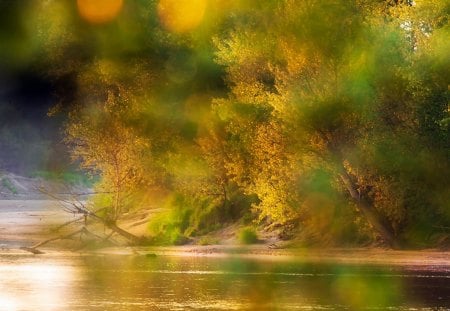 Mazowsze - Poland - polish, nature, autumn, fall, stream, leaves, mazowsze, poland