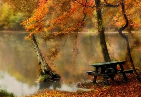 autumn lake - nature, mirror, autumn, bench, lake