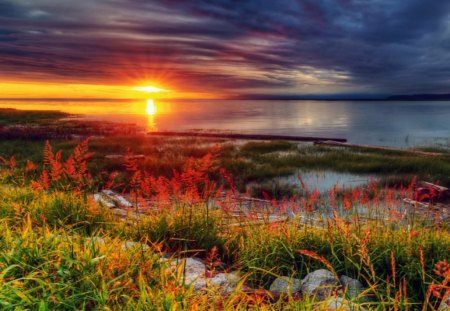 The end of the day - sky, beach, dazzling, sundown, sun, water, colorful, sunset, shine, coast, reflection, afternoon, grass, rays, ocean, sunlight, vlouds, day, light, summer, shore, bushes, nature, bright, glow, end, stones, flowers, sunrise, sea