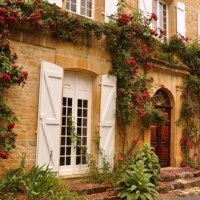 flowers around a house