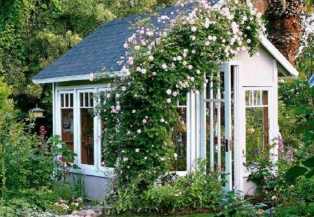 garden house - architecture, flowers, rose arch, garden house