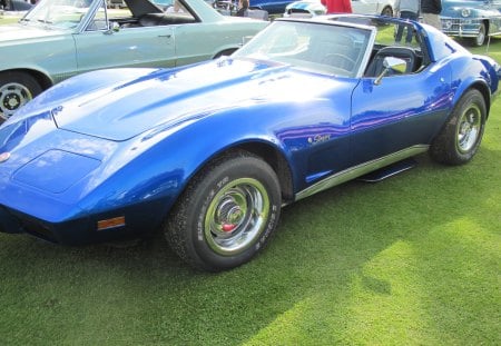 Chevrolet stingray corvette - purple, black, tires, grass, blue, stingray, chevrolet, corvette, green