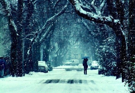 Romantic Couple - kissing, nature, trees, couple, romantic, snow, winter, road