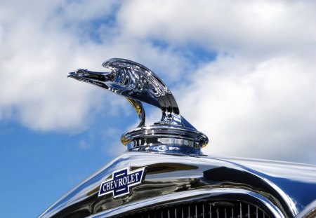 Old Chevrolet Hood Ornament - clouds, bird, blue, hood, ornament, chrome, white, car, classic, sky