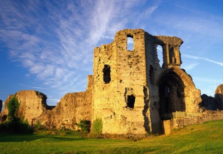 Castle - nature, castle, old, castle remains