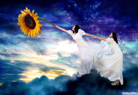 Playing with the Sunflower - girls, fantasy, white, sunflower