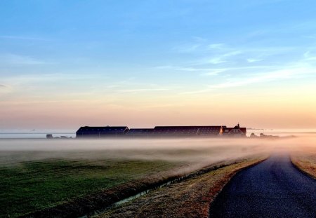 ROAD in FOG - field, fog, road, landscape