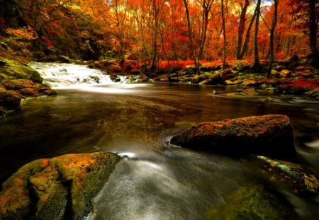 FOREST RIVER FLOW - rock, river, autumn, falls