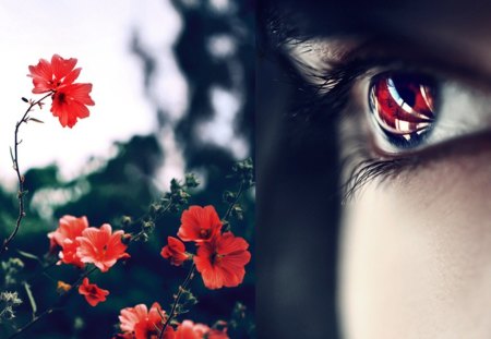 In my eyes - flowers, girl, eyes, red