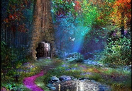 Door to....... - path, wonderland, door, magic, pond, colors, entrance, forest