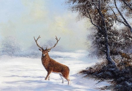 Solitary Stag - snow, trees, winter, deer