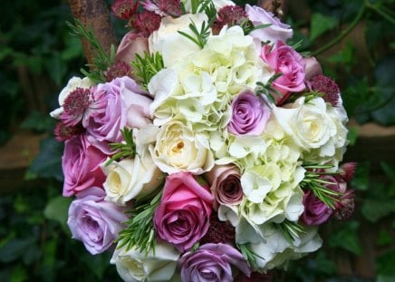 * Lovely bouquet * - purple, gift, roses, pink, bouquet, flowers, lovely, cute