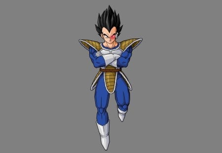 Vegeta - anime, dragon, ball, vegeta, z