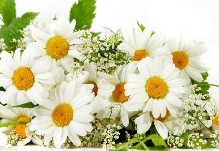 * Bouquet * - flowers, lovely, bouquet, daisies, nature