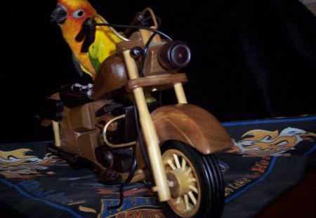 The Bird - bird, motorcycle, pet, wood