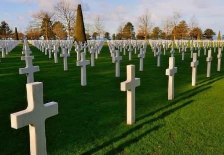 Remember - stone, sky, trees, daylight, day, crosses, nature, white, abstract, clouds, rows, rock, grass, line, shadow