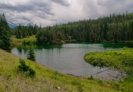 Small Lake - sky, lake, trees, day, water, ground, nature, forest, clouds, green, grass