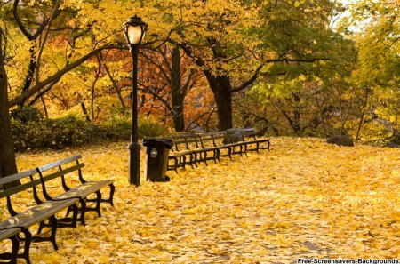 New york autumn - fall, foliage, beautiful, rest, leaves, new york, bench, lantern, golden, lovely, trees, nature, colors, park, autumn