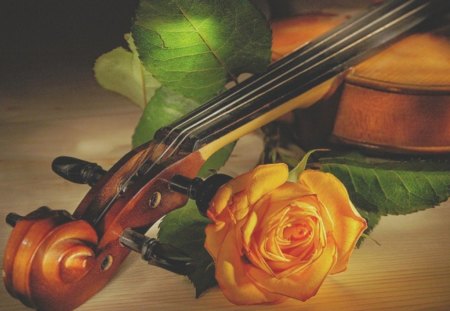 Beautiful Music - music, rose, yellow, violin