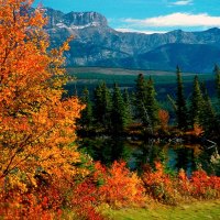 JASPER NATIONAL PARK