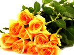 YELLOW ROSES SWEE