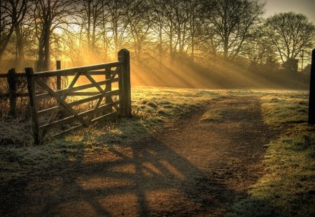 Beautiful View - gate, view, beautiful, trees, sunset, nature