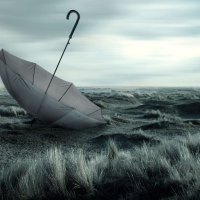 umbrella in a grey landscape