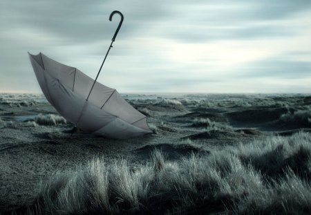 umbrella in a grey landscape - field, grass, grey, umbrella