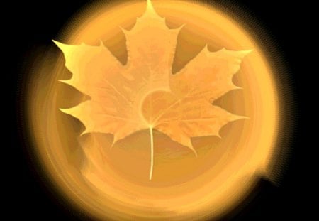 LEAF - black, yellow, autumn, orange, leaf