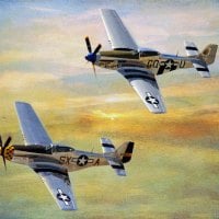 P51 - Mustang Twins