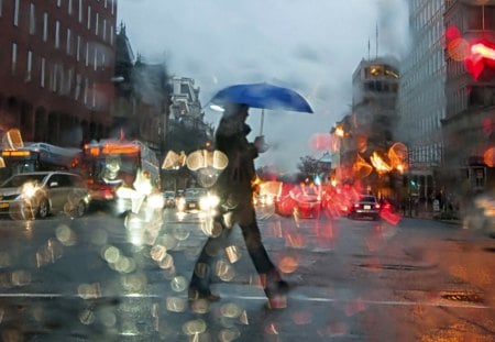 Rainy Day F2 - wide screen, autumn, photography, rain, cityscape, raining, umbrella, scenery, rainy, photo