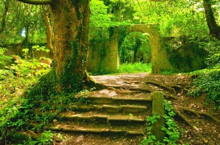 Stage - trees, peaceful, stage, amazing, green, tree, color, stone, fields, landscape, plants, nature, stair, forest, beautiful, door, colors, awesome