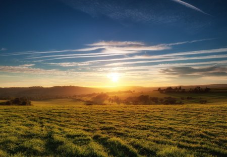 Sunset - beauty, sky, trees, peaceful, sun, sunset, field, view, clouds, green, tree, sunrays, grass, rays, landscape, sunlight, lovely, nature, beautiful, splendor