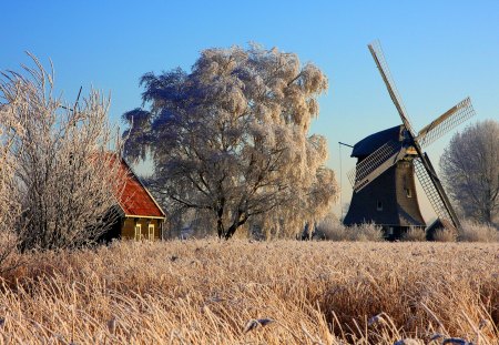 Windmill - beauty, farm, sky, trees, peaceful, view, clouds, tree, house, grass, architercure, houses, landscape, mill, lovely, nature, beautiful, splendor, windmill