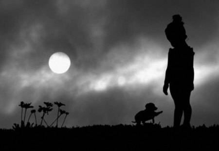 by moonlight - moon, child, silhouettes, dog