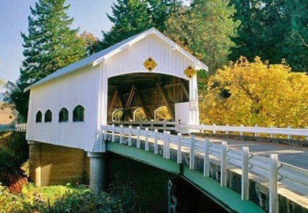 Beautiful Covered Bridge - covered, white, autumn, bridge