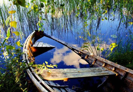 Abandoned Boat - beauty, sky, trees, peaceful, water, abandoned boat, river, clouds, green, tree, abandoned, boat, lake, boats, lovely, nature, beautiful, leaves, splendor, flower