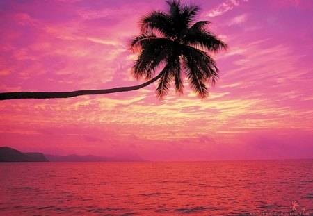 rainbow sunset - beach, nature, raibow, sunset