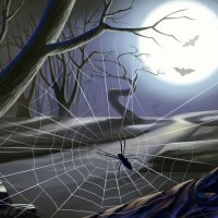 The Web