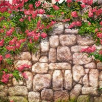 GARDEN WALL