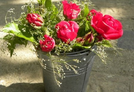 RED ROSES TO GO - roses, bouquets, blooms, galvanised steel, buckets, red, romance, flowers, gifts