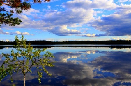 BEAUTIFUL LAKE VIEW - lake, reflection, clouds, trees, nature