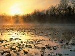 sunrise at cuyahoga valley rec area ohio