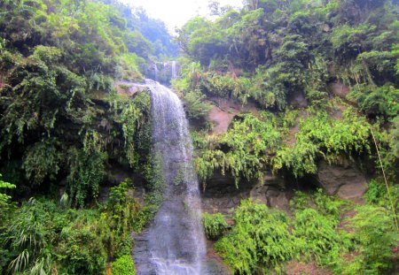 Waterfall - plants, grasses, waterfall, mountain