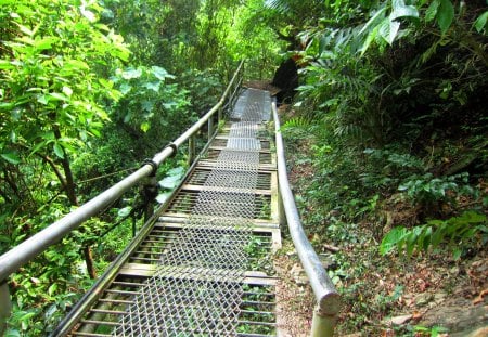 Mountain trail - grasses, mountain, trail, iron railing